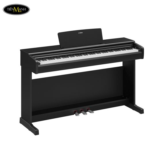 dan-piano-dien-yamaha-ydp-146