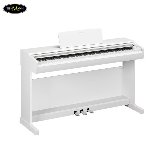 dan-piano-dien-yamaha-ydp-146
