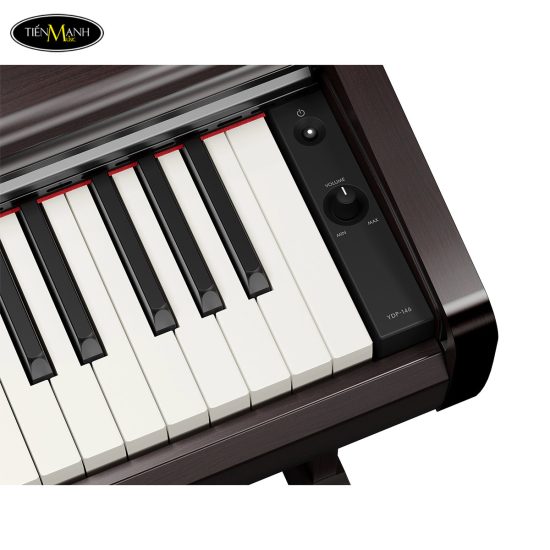 dan-piano-dien-yamaha-ydp-146