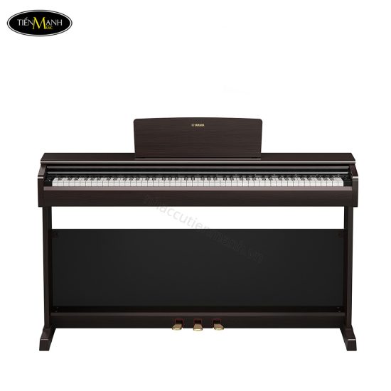 dan-piano-dien-yamaha-ydp-146