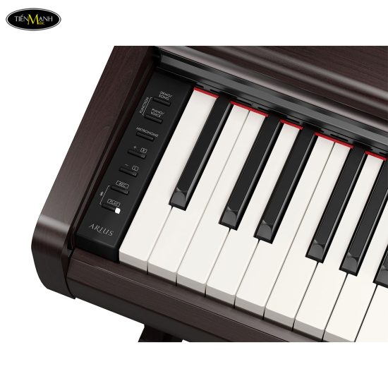 dan-piano-dien-yamaha-ydp-146
