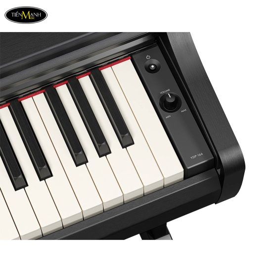dan-piano-dien-yamaha-ydp-166