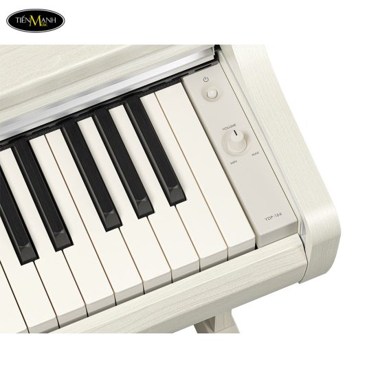 dan-piano-dien-yamaha-ydp-166