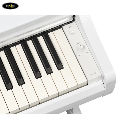 dan-piano-dien-yamaha-ydp-166