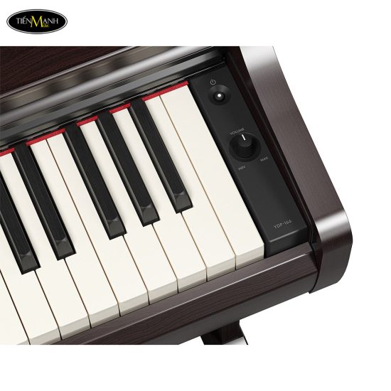 dan-piano-dien-yamaha-ydp-166