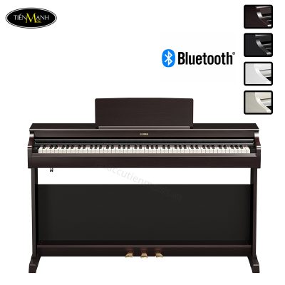 dan-piano-dien-yamaha-ydp-166
