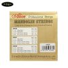 day-dan-mandolin-alice-am06