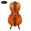 Pickup Đàn Cello Wett 5 ( Không Volum ) Loại Dán