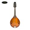 Đàn Mandolin Amtati SMD-F20