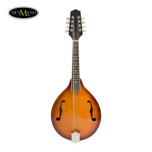 Đàn Mandolin Amtati SMD-F20