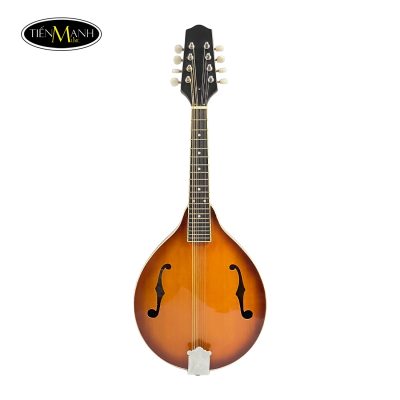 Đàn Mandolin Amtati SMD-F20