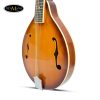 Đàn Mandolin Amtati SMD-F20