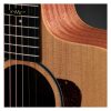 Đàn Guitar Acoustic Taylor 14CE , Gig Bag Case