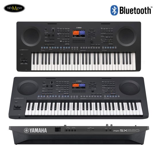 dan-organ-yamaha-psr-sx620