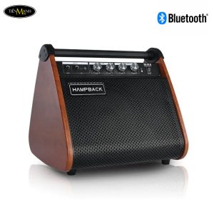 ampli-trong-dien-hampback-sk50-50w