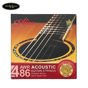 day-dan-guitar-acoustic-alice-awr486-sl-11-52