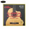 day-dan-guitar-classic-alice-ac145