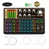 Soundcard K300 Plus - Hỗ Trợ Hát Livestream, Tích Hợp Autotone