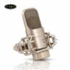micro thu aam isk vega condenser micro