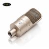 micro thu aam isk vega condenser micro