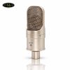 micro thu aam isk vega condenser micro